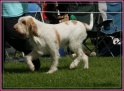 28-07-12 M GoodAsGold_IMG_7998
